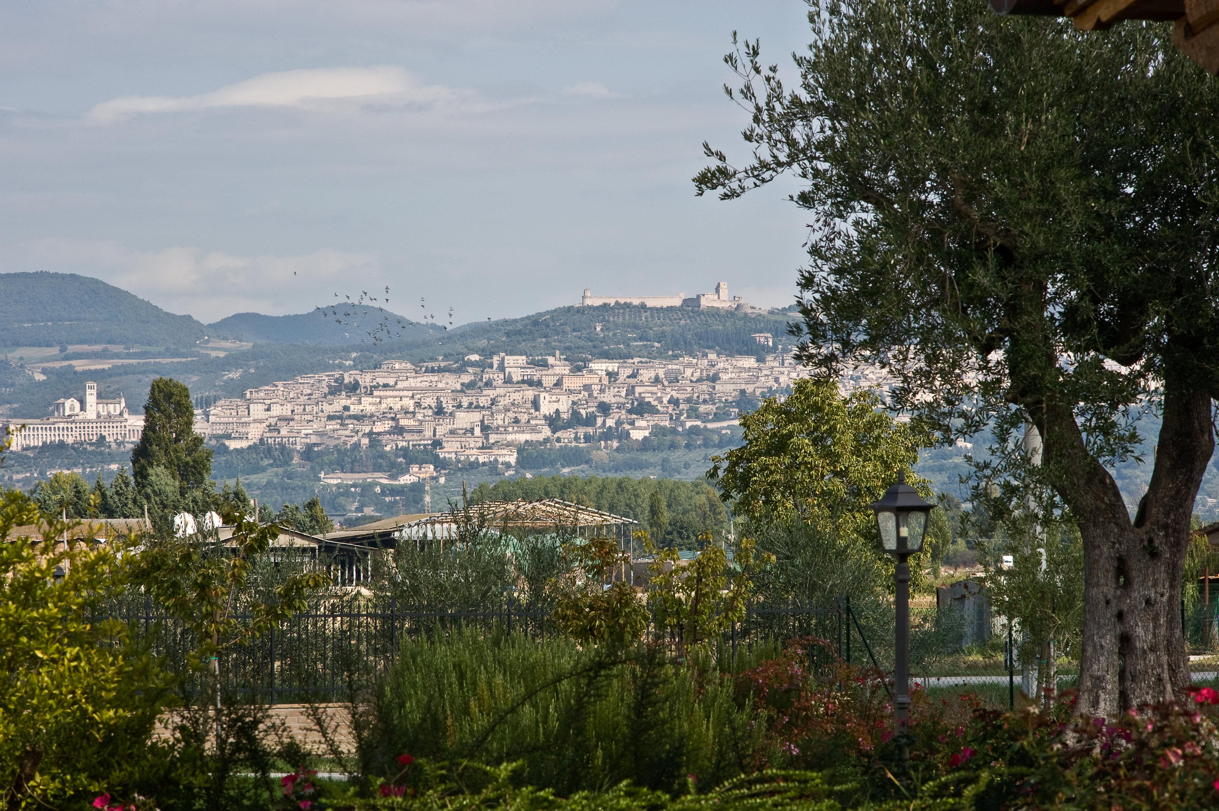 Agriturismo Le Rondini Di Francesco Di Assisi Cannara Екстер'єр фото