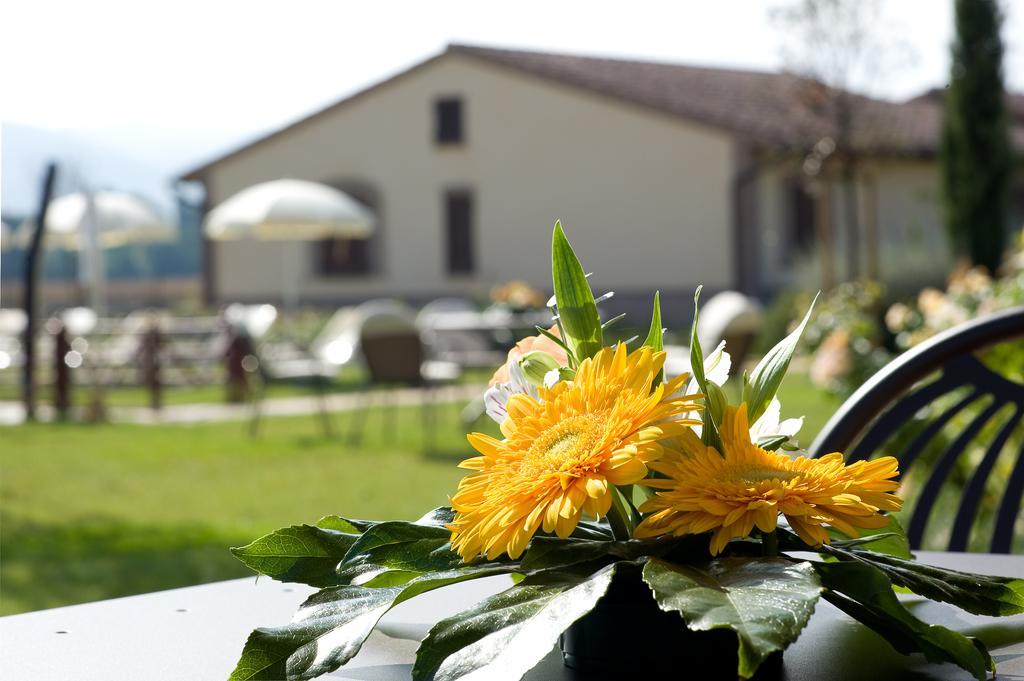 Agriturismo Le Rondini Di Francesco Di Assisi Cannara Екстер'єр фото