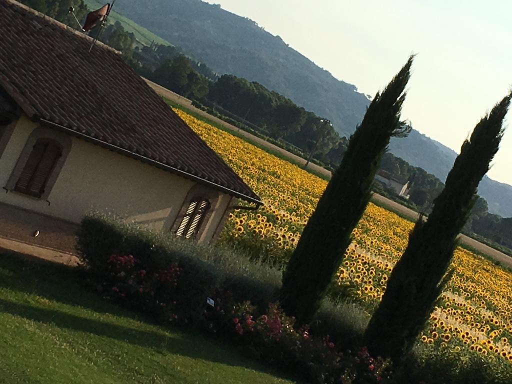 Agriturismo Le Rondini Di Francesco Di Assisi Cannara Екстер'єр фото